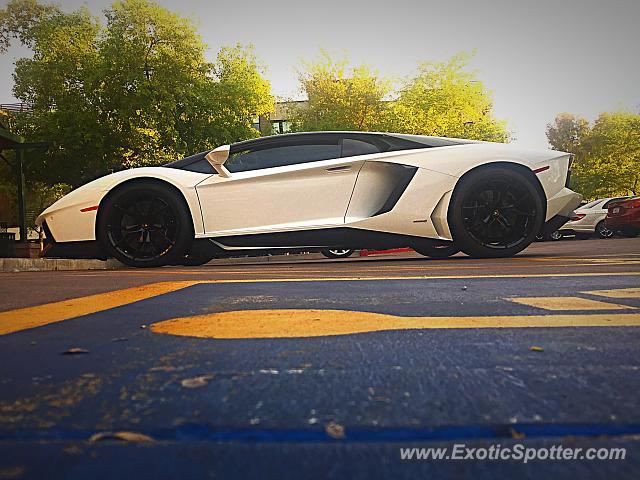 Lamborghini Aventador spotted in Scottsdale, Arizona