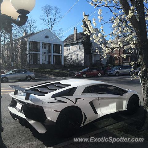 Lamborghini Aventador spotted in Hyde Park, Ohio