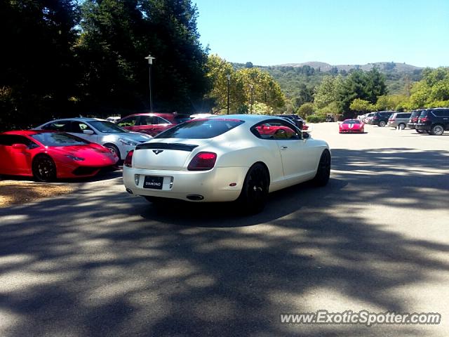 Ferrari 458 Italia spotted in Carmel Valley, California