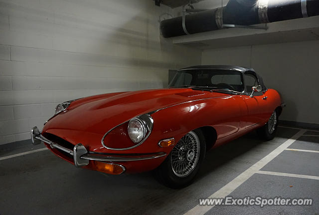 Jaguar E-Type spotted in Vancouver, Canada