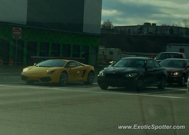 Lamborghini Gallardo spotted in Pittsburgh, Pennsylvania