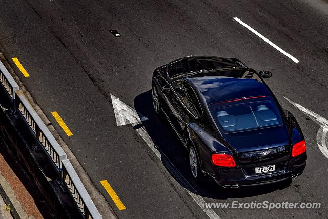 Bentley Continental spotted in Auckland, New Zealand