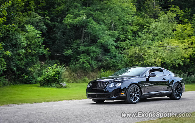 Bentley Continental spotted in Vaughn, Canada
