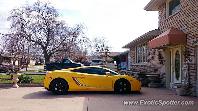 Lamborghini Gallardo spotted in Stoney Creek, On, Canada