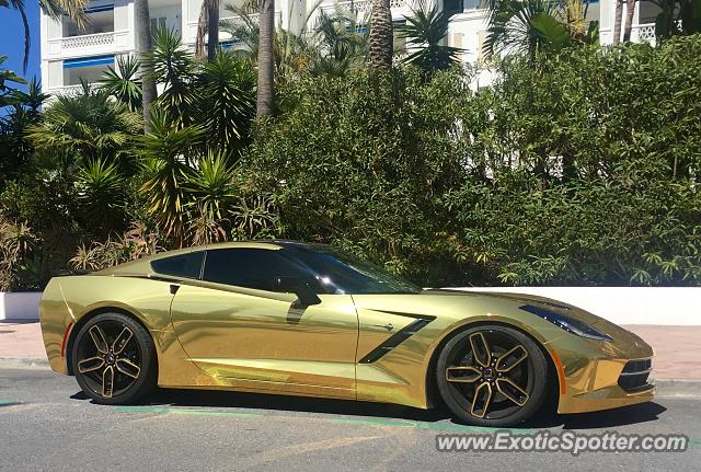Chevrolet Corvette Z06 spotted in Marbella, Spain