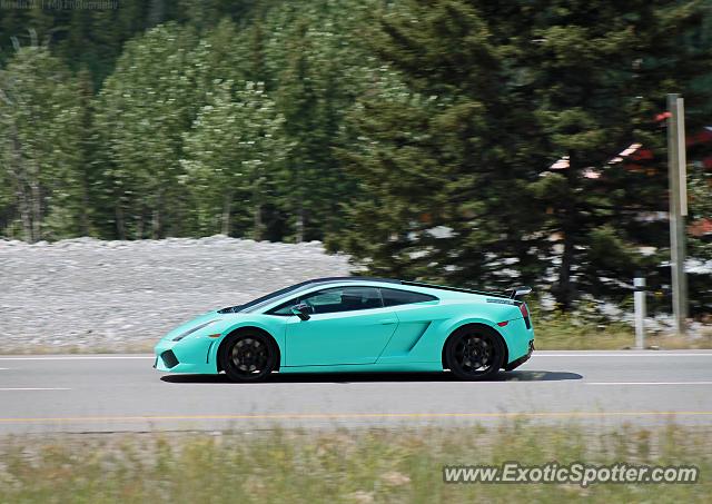 Lamborghini Gallardo spotted in Canmore, Canada