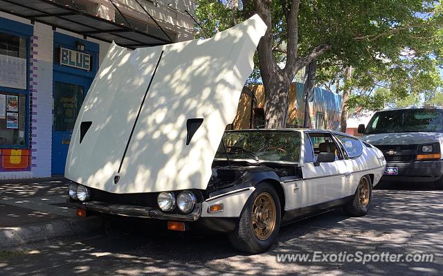Lamborghini Espada spotted in Albuquerque, New Mexico