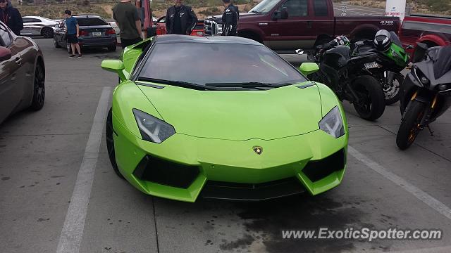 Lamborghini Aventador spotted in Phoenix, Arizona