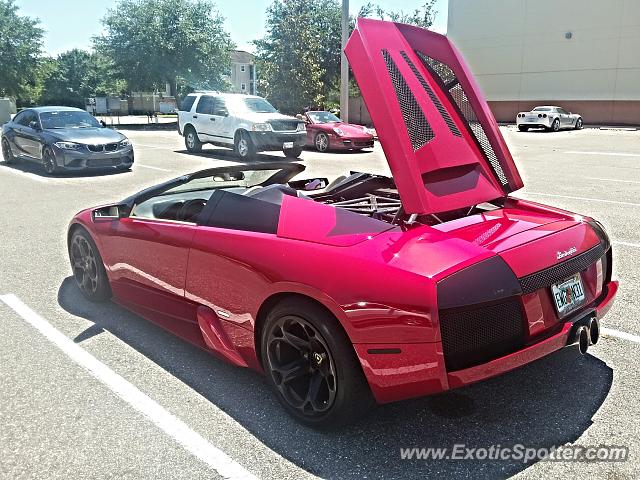 Lamborghini Murcielago spotted in Brandon, Florida