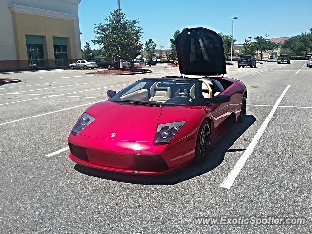 Lamborghini Murcielago spotted in Brandon, Florida