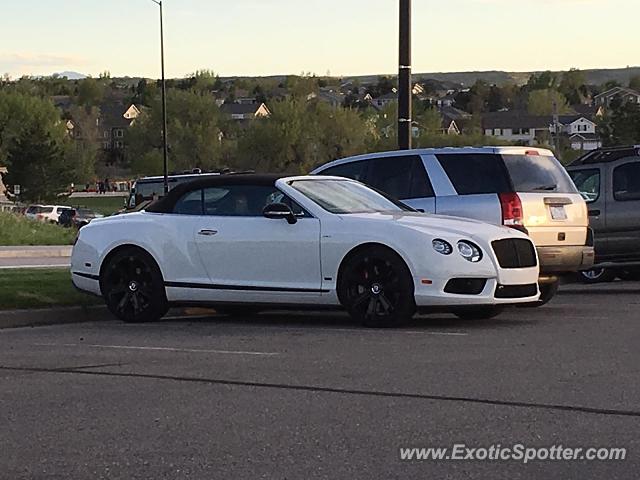 Bentley Continental spotted in Highlands ranch, Colorado