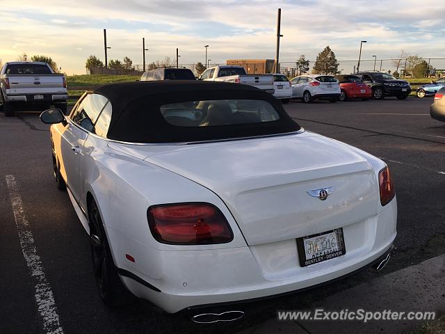 Bentley Continental spotted in Highlands ranch, Colorado