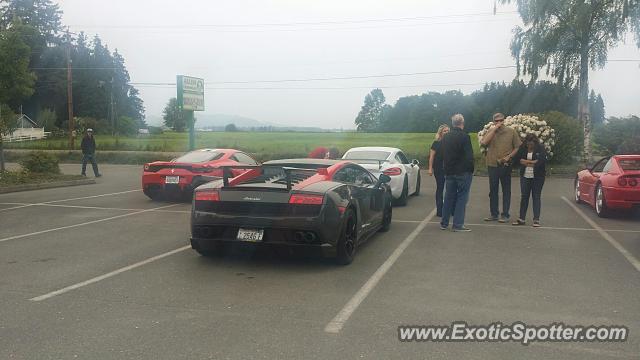Lamborghini Gallardo spotted in Bow, Washington