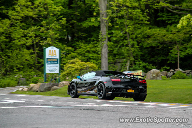 Lamborghini Gallardo spotted in Cross River, New York