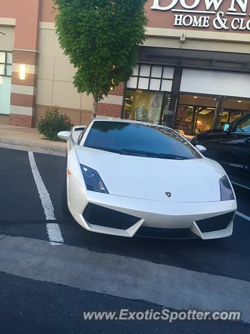 Lamborghini Gallardo spotted in South Jordan, Utah