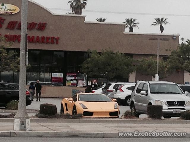 Lamborghini Gallardo spotted in San Gabriel, California