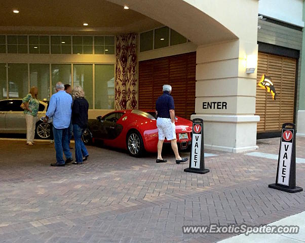 Bugatti Veyron spotted in Jupiter, Florida