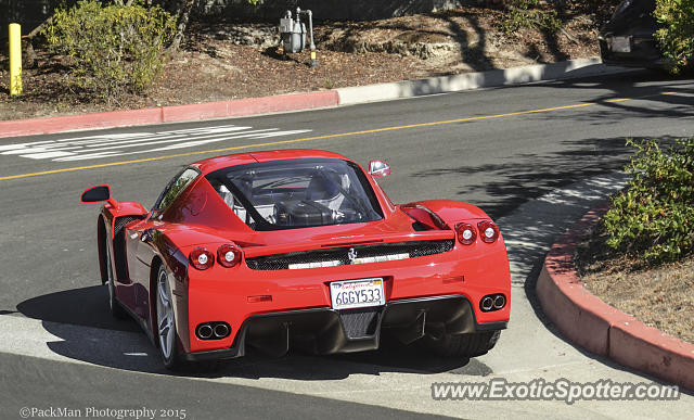 Ferrari Enzo spotted in Monterey, California