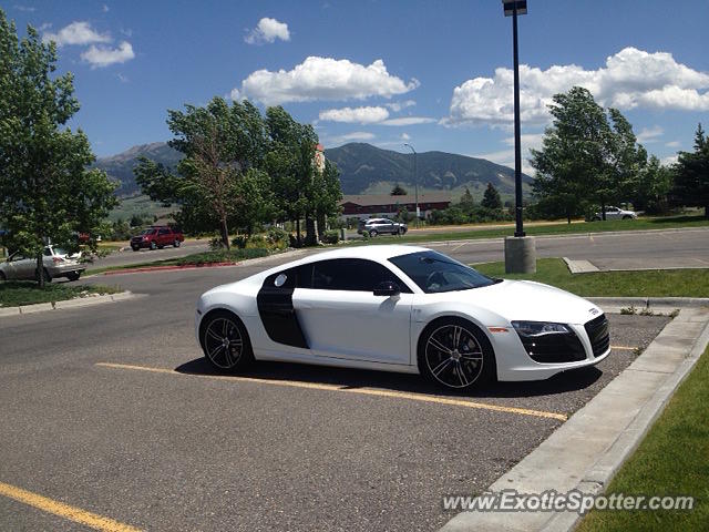 Audi R8 spotted in Bozeman, Montana
