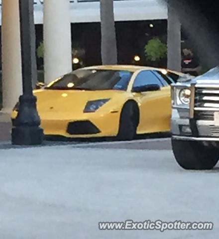 Lamborghini Murcielago spotted in Jacksonville, Florida