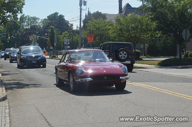 Ferrari 365 GT spotted in Summit, New Jersey