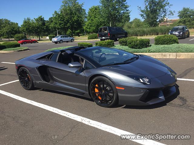 Lamborghini Aventador spotted in Doylestown, Pennsylvania