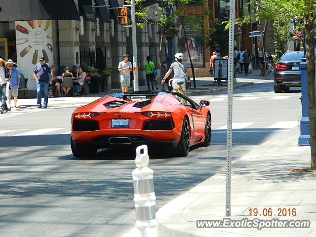 Lamborghini Aventador spotted in Toronto, Canada
