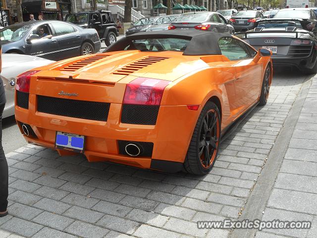 Lamborghini Gallardo spotted in Québec, Canada