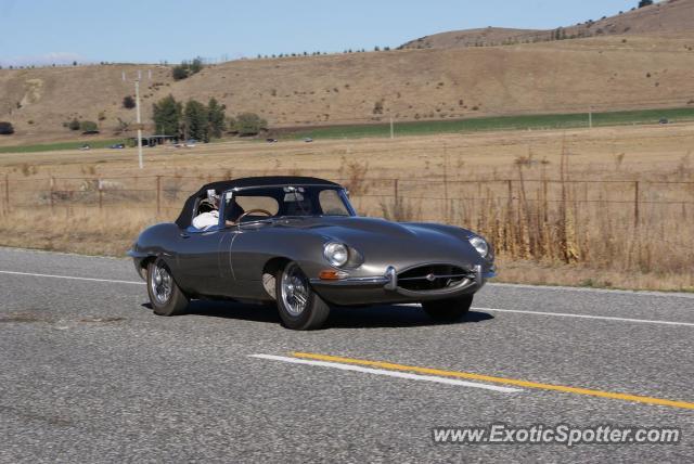 Jaguar E-Type spotted in Wanaka, New Zealand