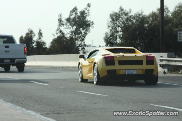 Lamborghini Gallardo spotted in Anaheim, California