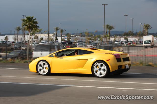 Lamborghini Gallardo spotted in Anaheim, California