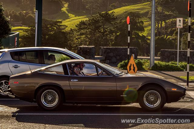 Ferrari 365 GT spotted in Silverdale, New Zealand