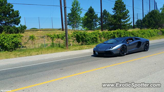 Lamborghini Aventador spotted in Mississauga, Canada