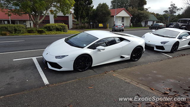 Lamborghini Huracan spotted in Pirongia, New Zealand