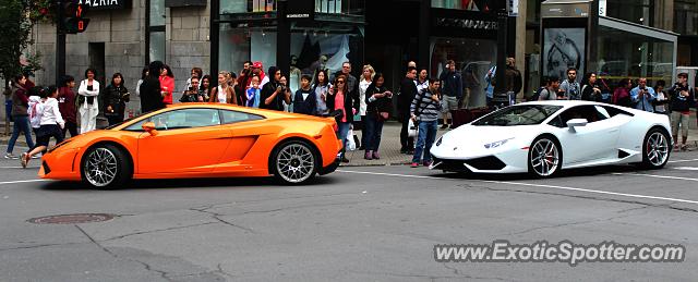 Lamborghini Gallardo spotted in Montreal, QC, Canada