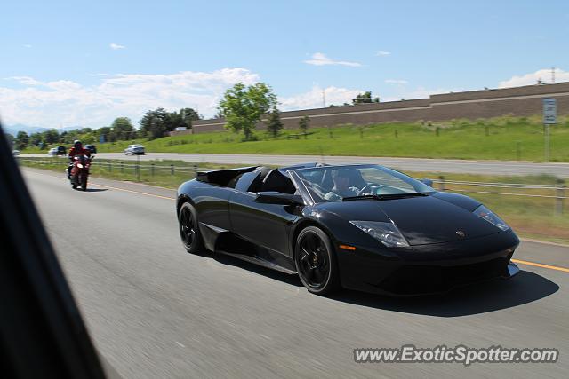Lamborghini Murcielago spotted in Denver, Colorado