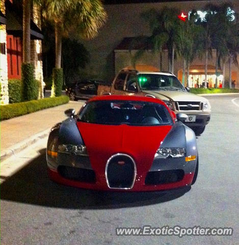 Bugatti Veyron spotted in Palm B. Gardens, Florida