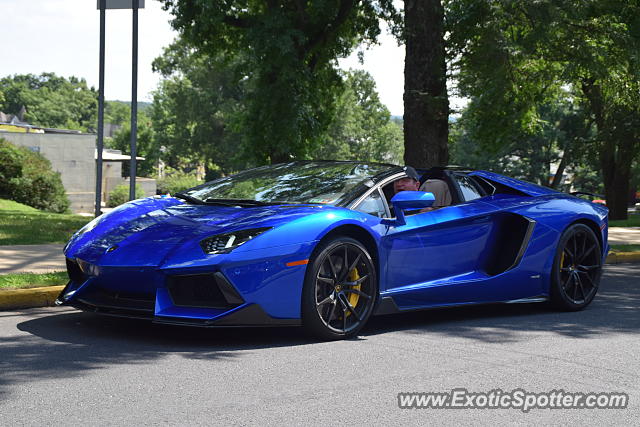 Lamborghini Aventador spotted in Doylestown, Pennsylvania