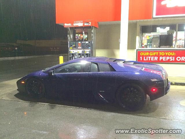 Lamborghini Murcielago spotted in Old Hickory, Tennessee
