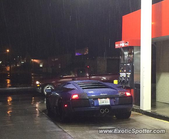 Lamborghini Murcielago spotted in Old Hickory, Tennessee
