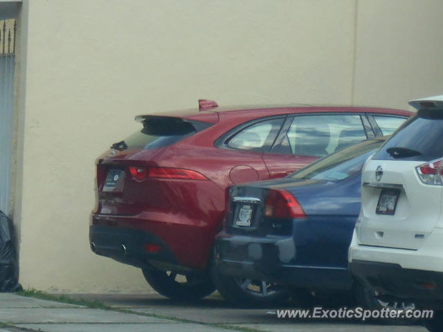 Other Other spotted in Guadalajara, Mexico