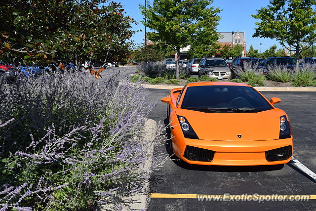 Lamborghini Gallardo spotted in South Barrington, Illinois