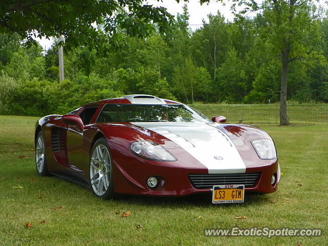 Other Other spotted in Sodus, New York