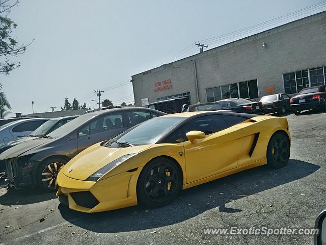 Lamborghini Gallardo spotted in Walnut, California