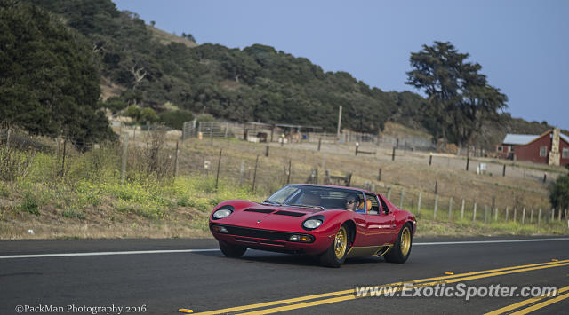 Lamborghini Miura spotted in Carmel Valley, California