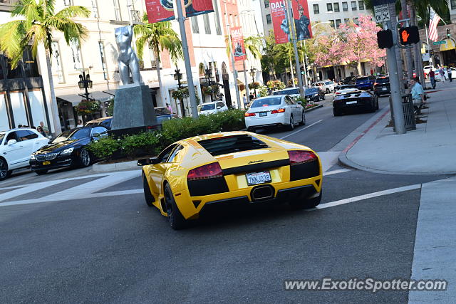 Lamborghini Murcielago spotted in Beverly Hills, California