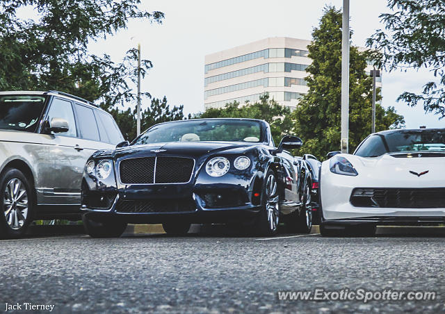 Bentley Continental spotted in DTC, Colorado