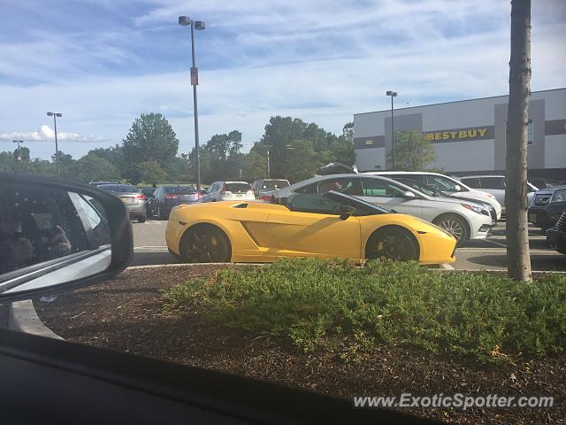 Lamborghini Gallardo spotted in Paramus, New Jersey