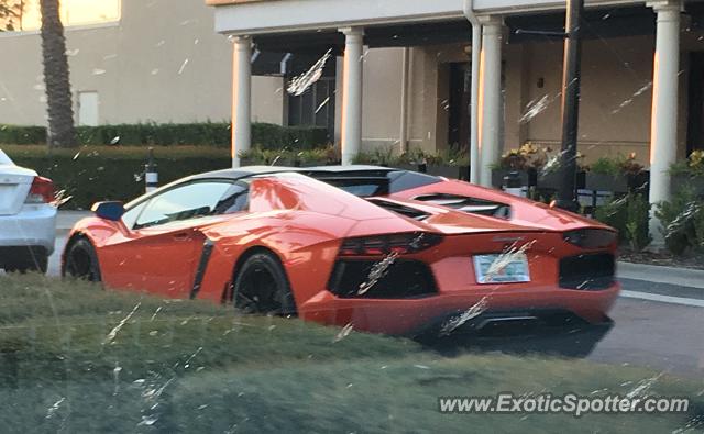Lamborghini Aventador spotted in Jacksonville, Florida