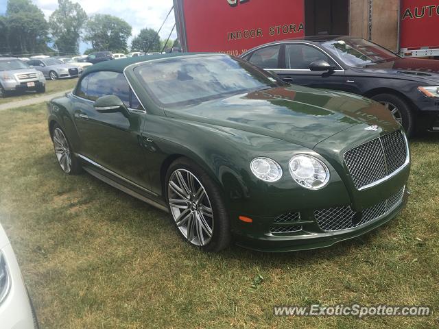 Bentley Continental spotted in Radnor, Pennsylvania